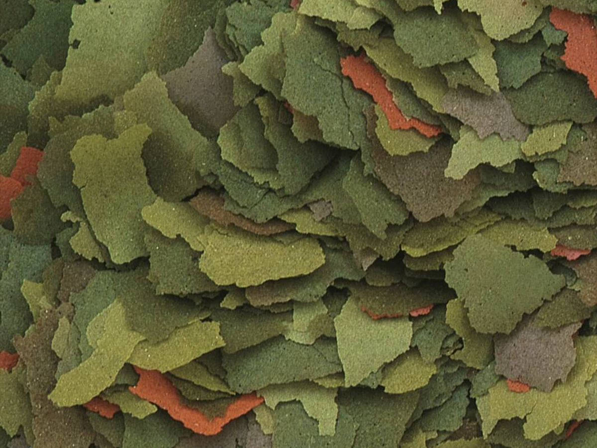 Malawi Flakes