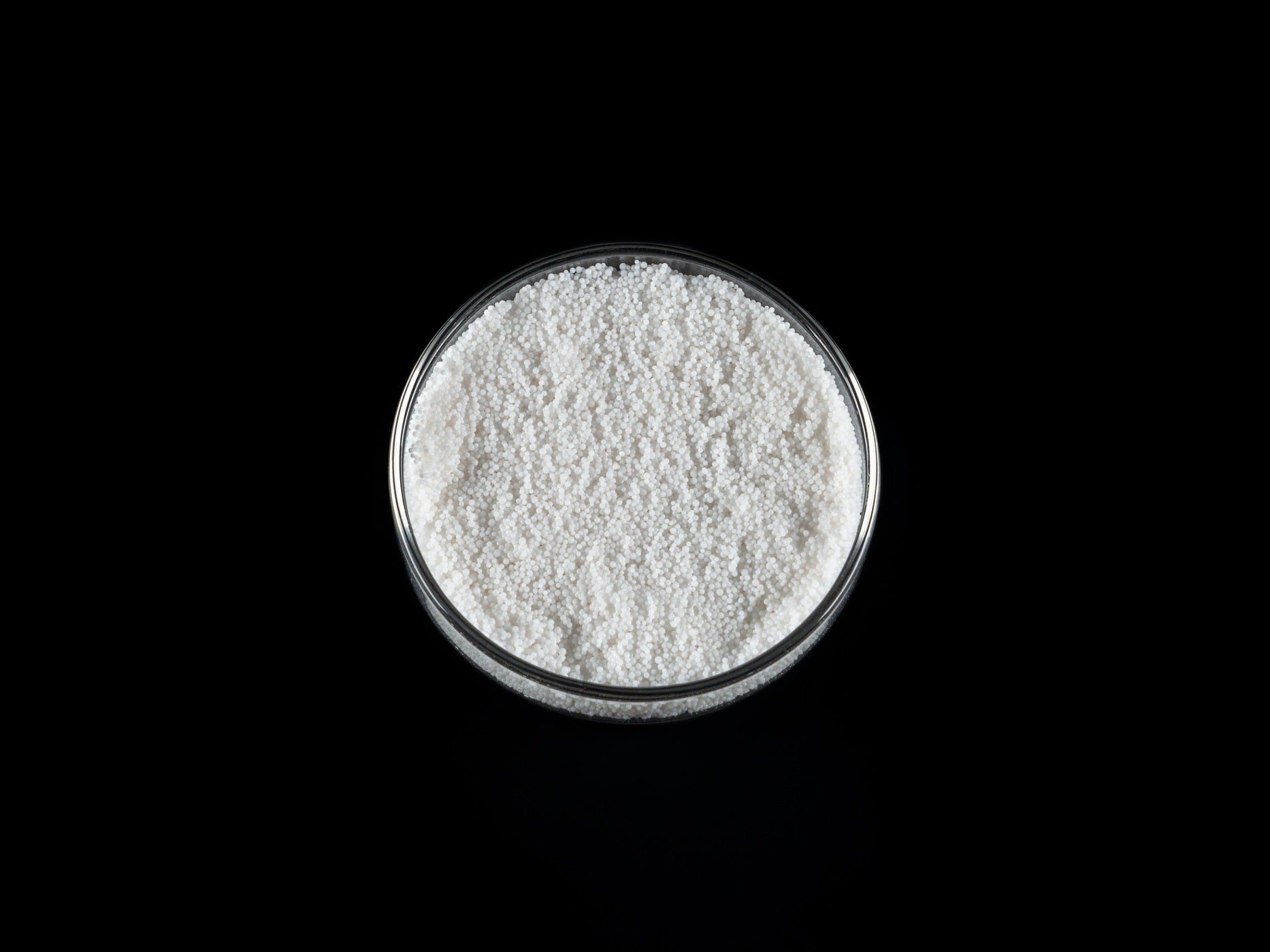 MasterLine Purity