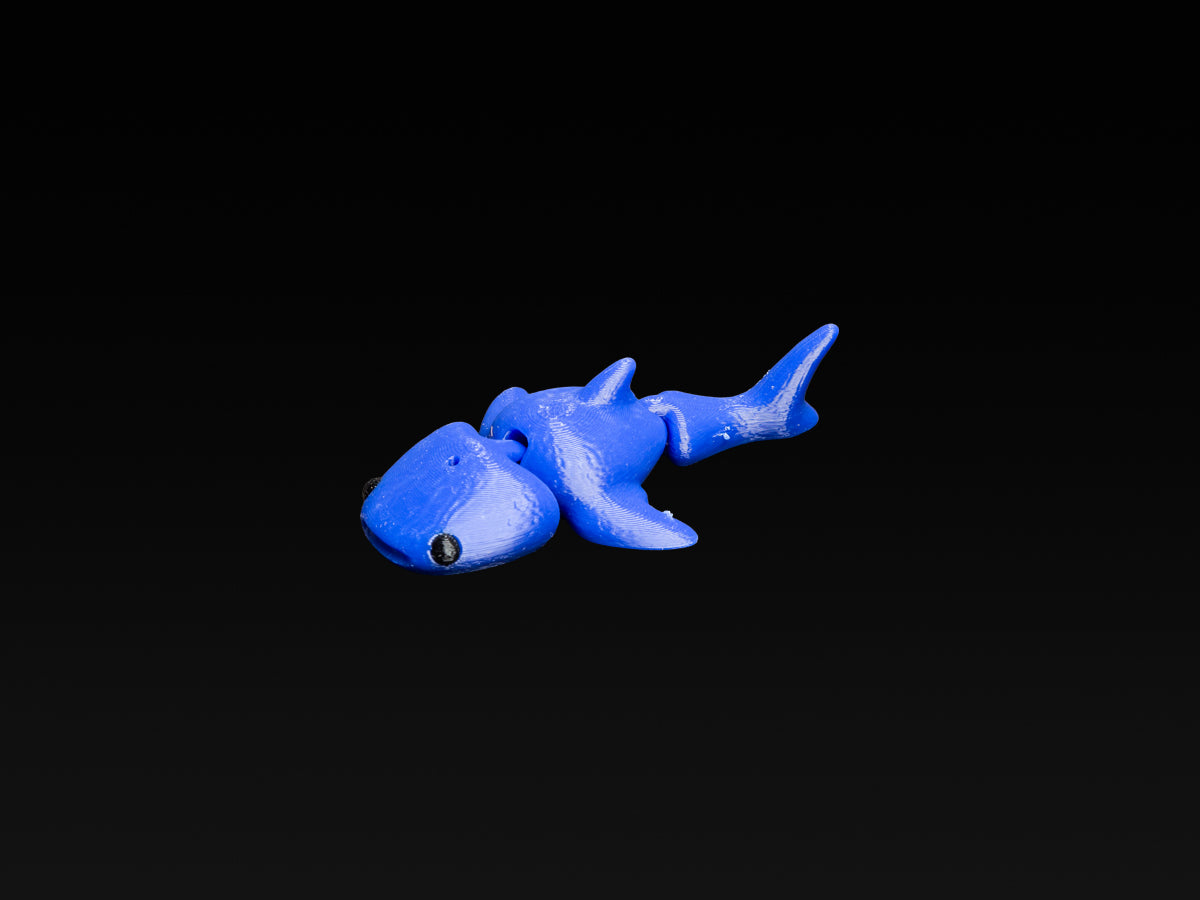 Moby Lab Whale