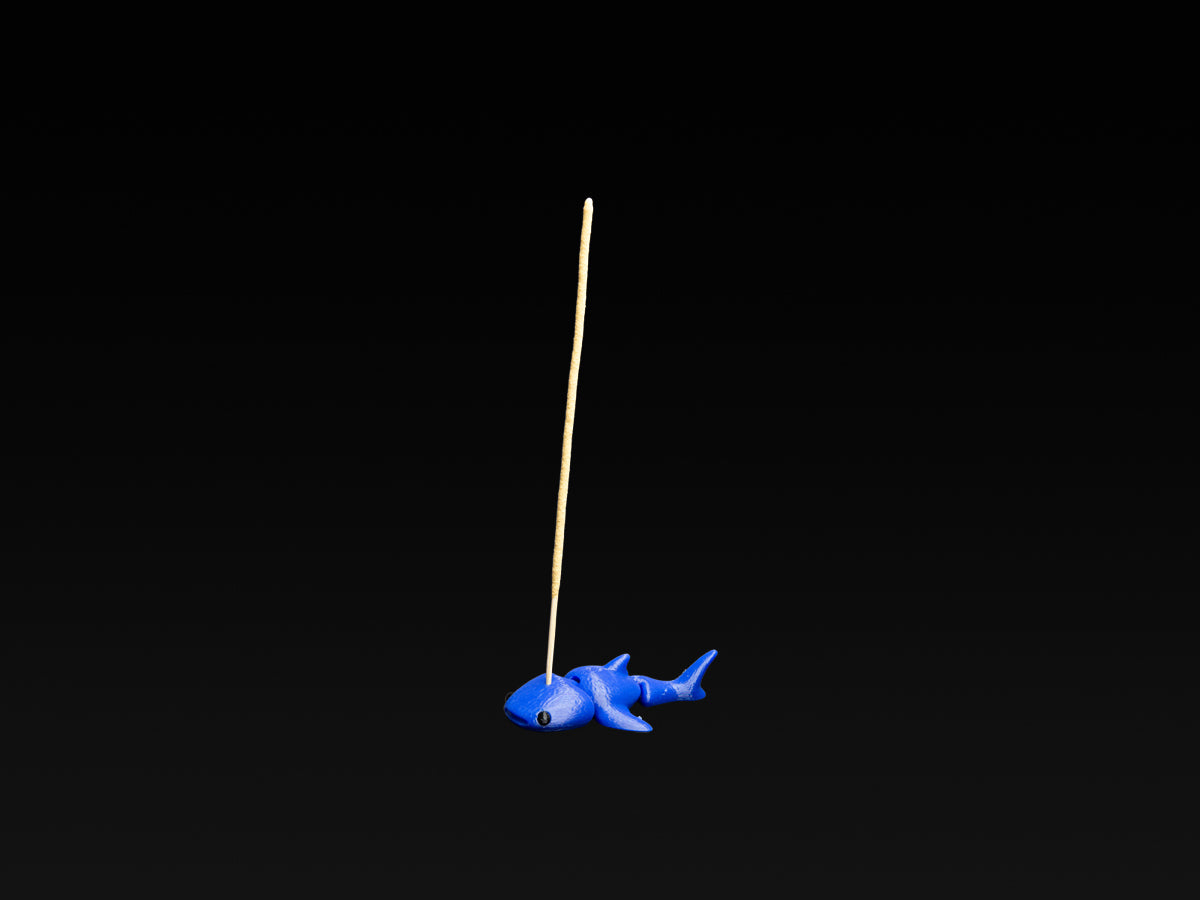 Moby Lab Whale