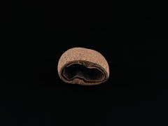 Kokopods