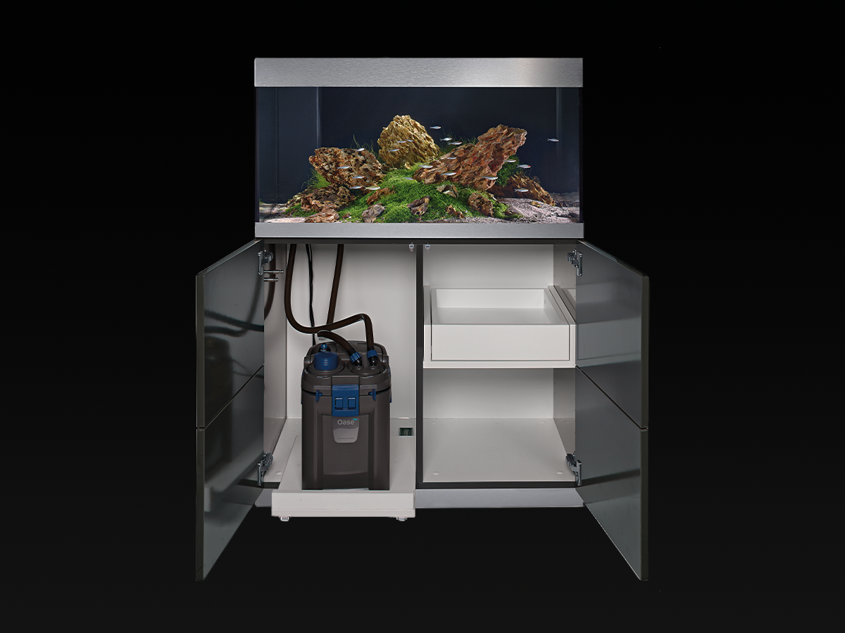 Oase BioMaster² Thermo