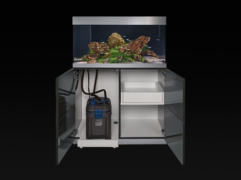 Oase BioMaster² Thermo
