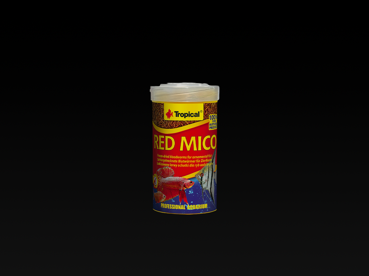 Red Mico Blutwürmer