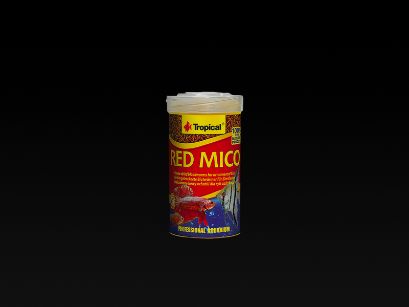 Red Mico Blutwürmer