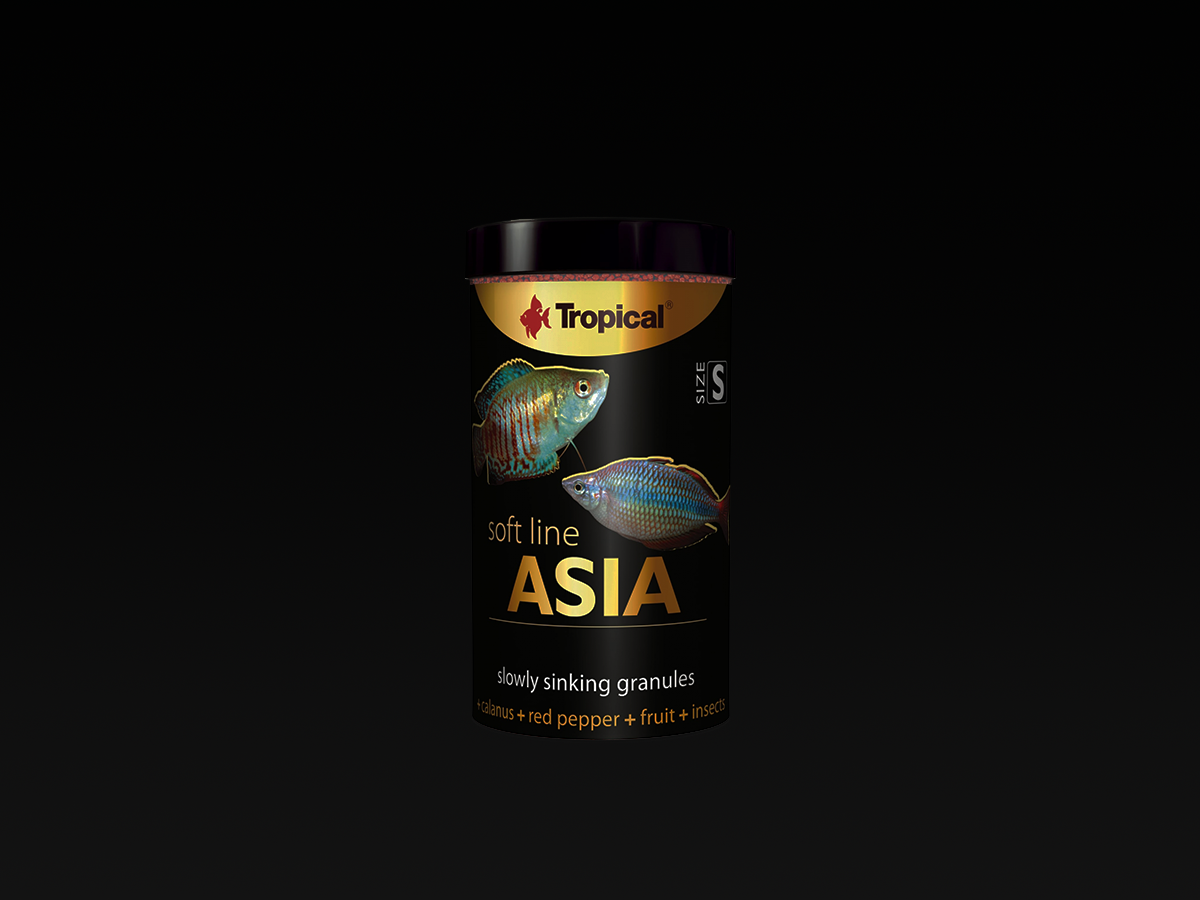 Soft-Line Asia S