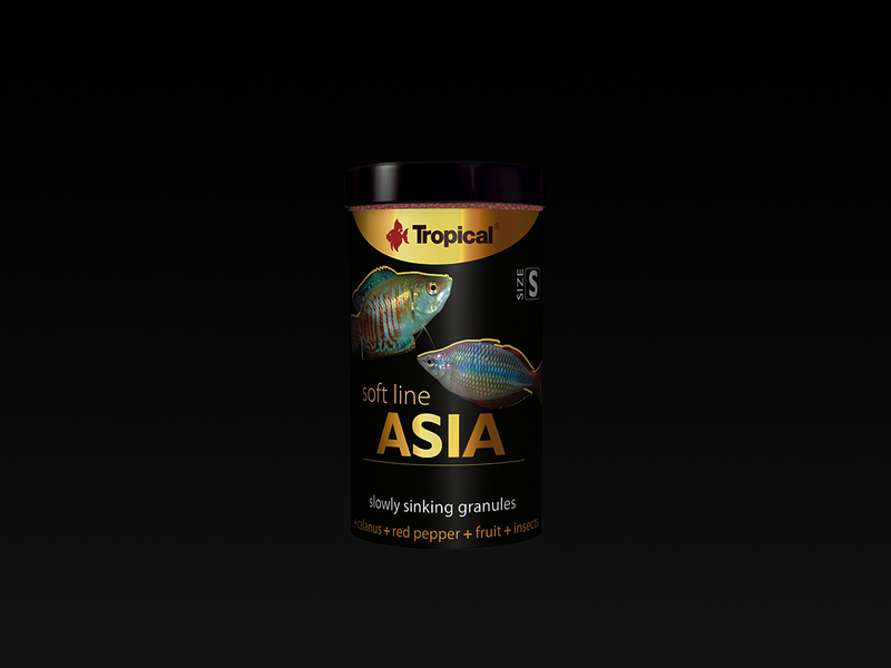 Soft-Line Asia S