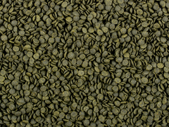 Soft Line Africa Herbivore M