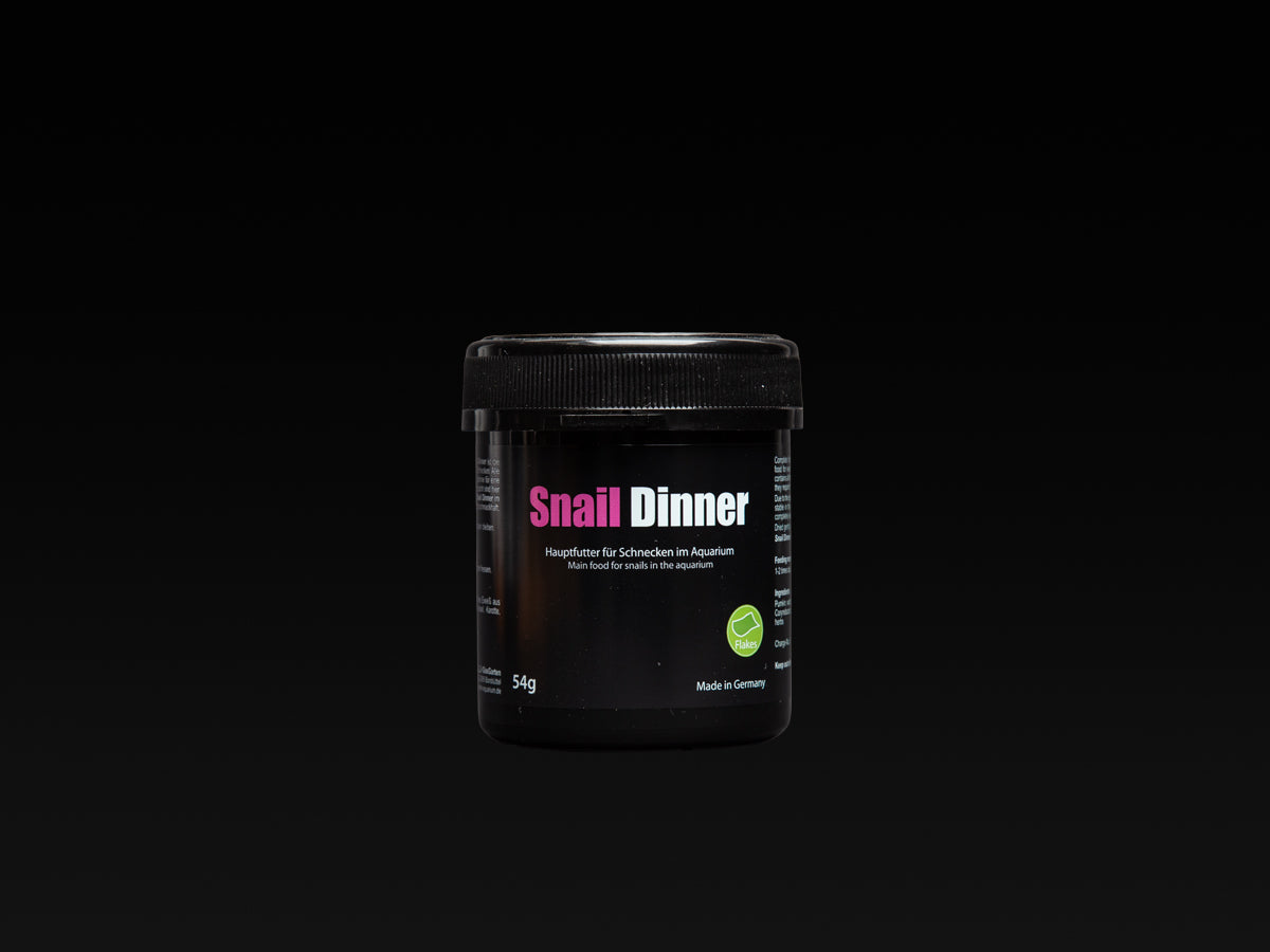 Snail Dinner