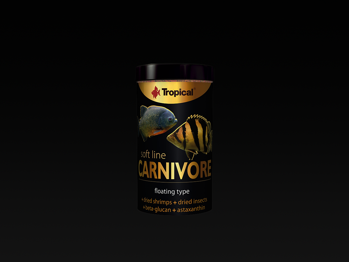 Soft Line Carnivore