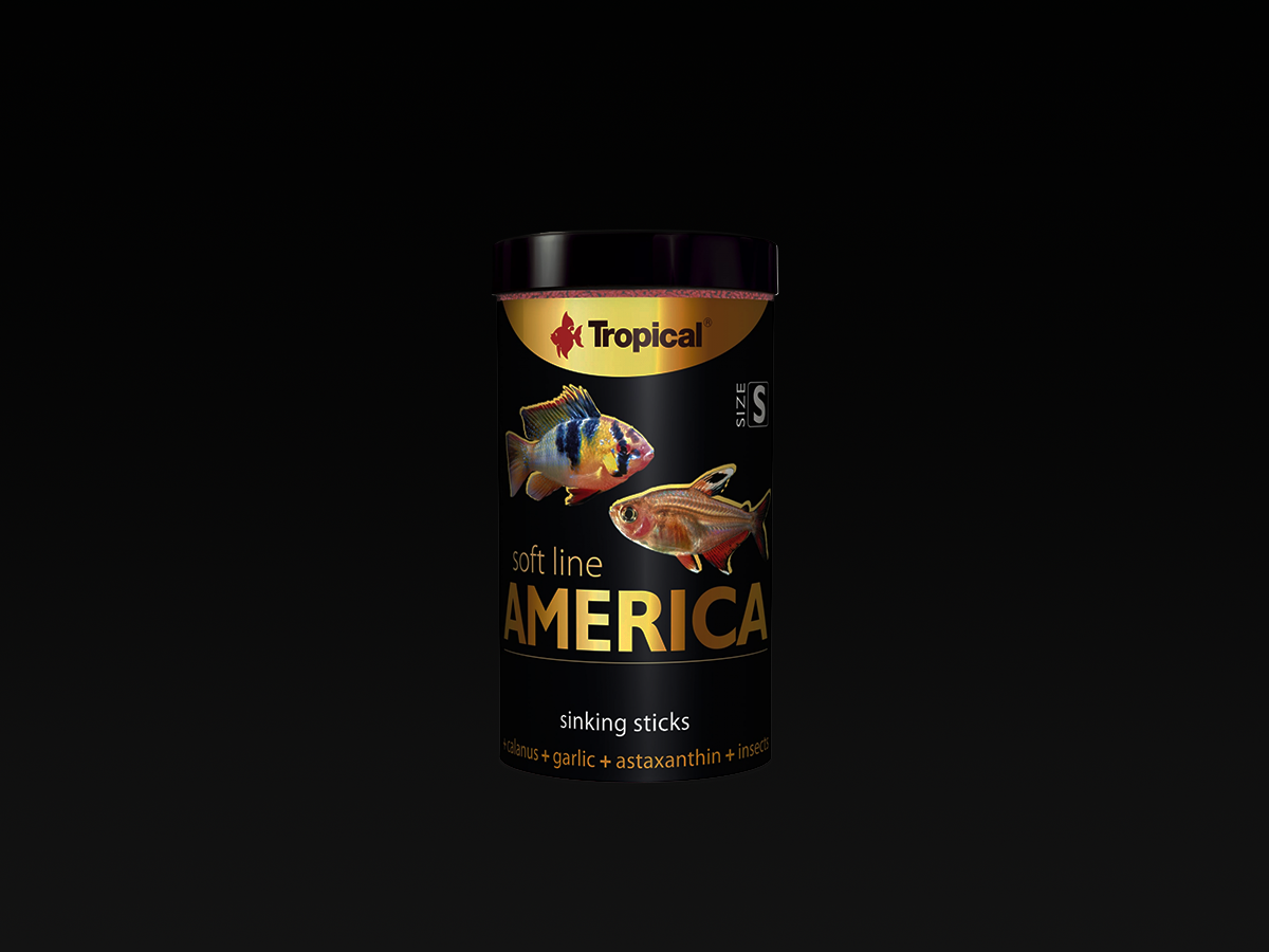 Soft Line America S