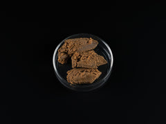 Artemia Paste