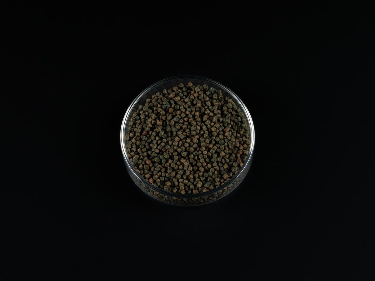 Buntbarsch Spirulina Softgranulat