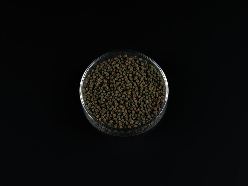 Buntbarsch Spirulina Softgranulat
