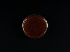 Pure Nature – Artemia