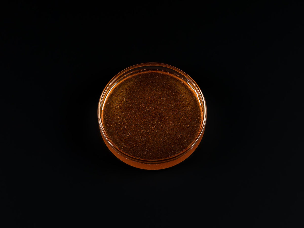 Pure Nature – Artemia Nauplien