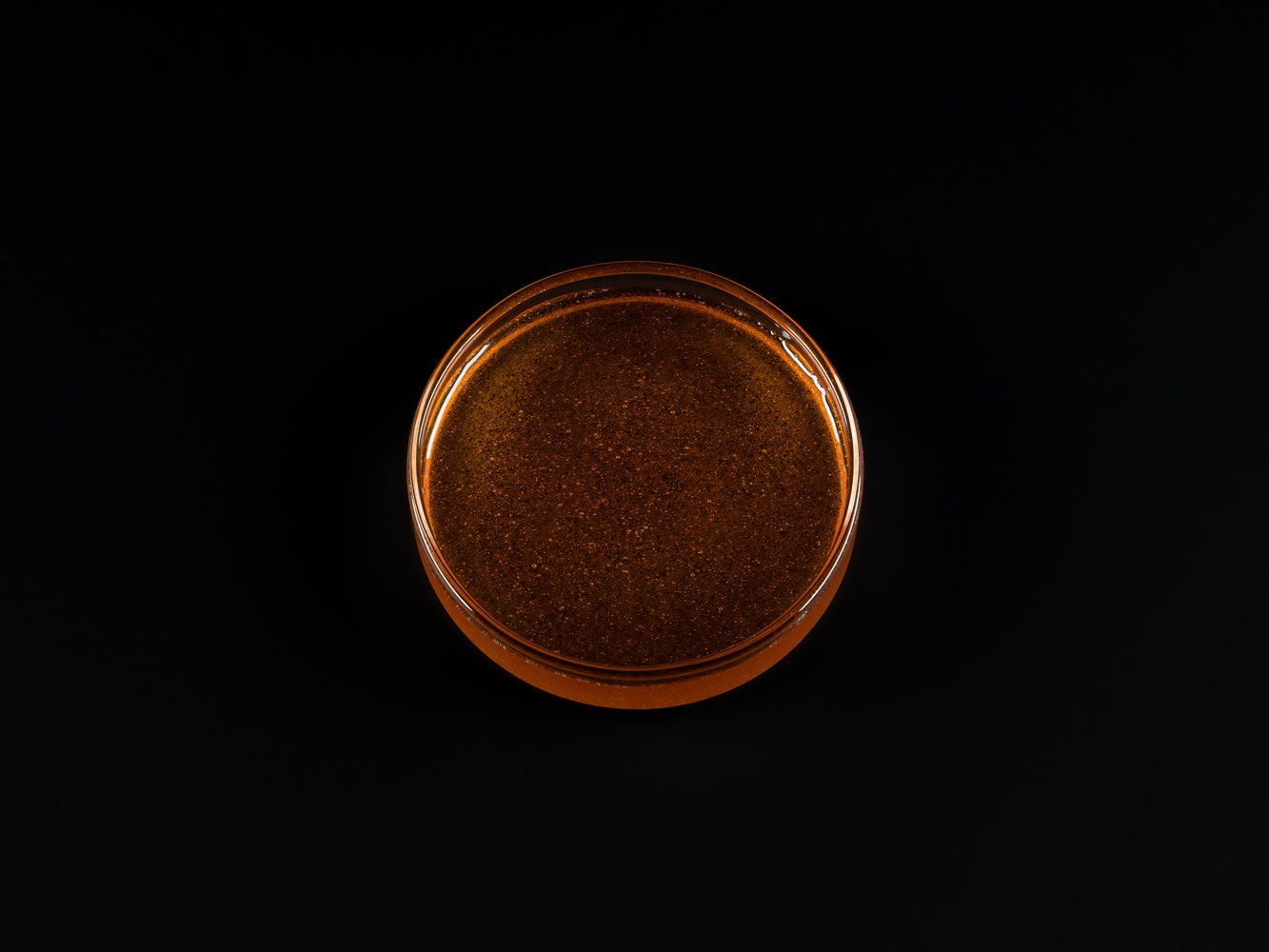 Pure Nature – Artemia Nauplien