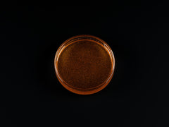 Pure Nature – Artemia Nauplien