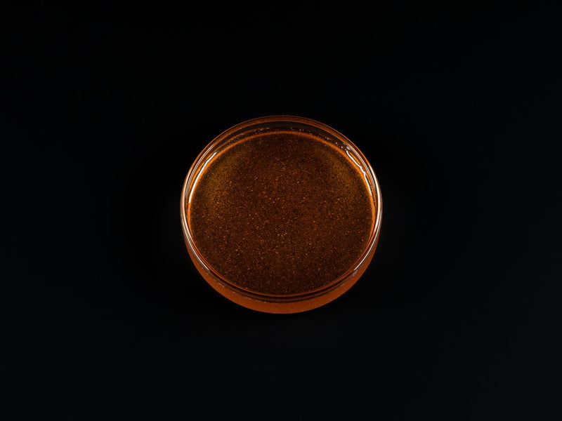 Pure Nature – Artemia Nauplien