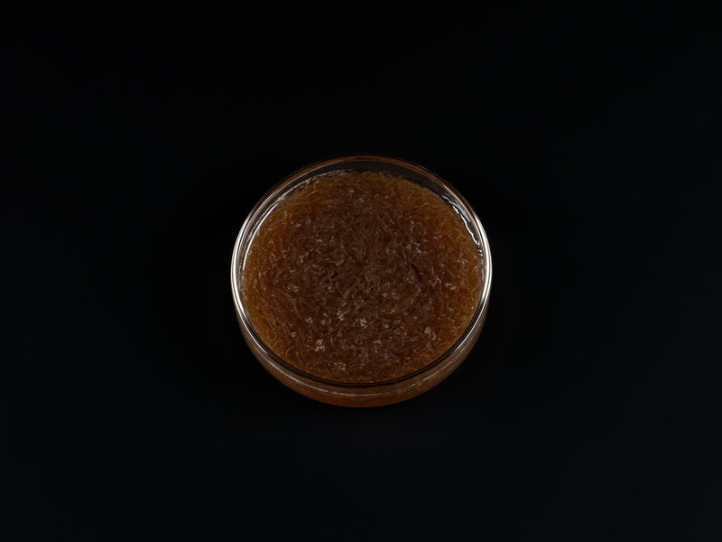 Pure Nature – Weiße Mückenlarven