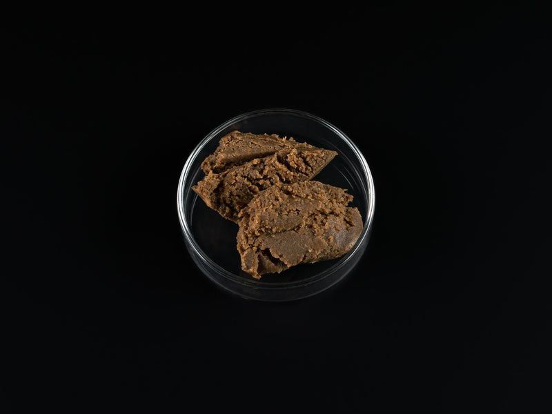 Rote Mückenlarven Paste