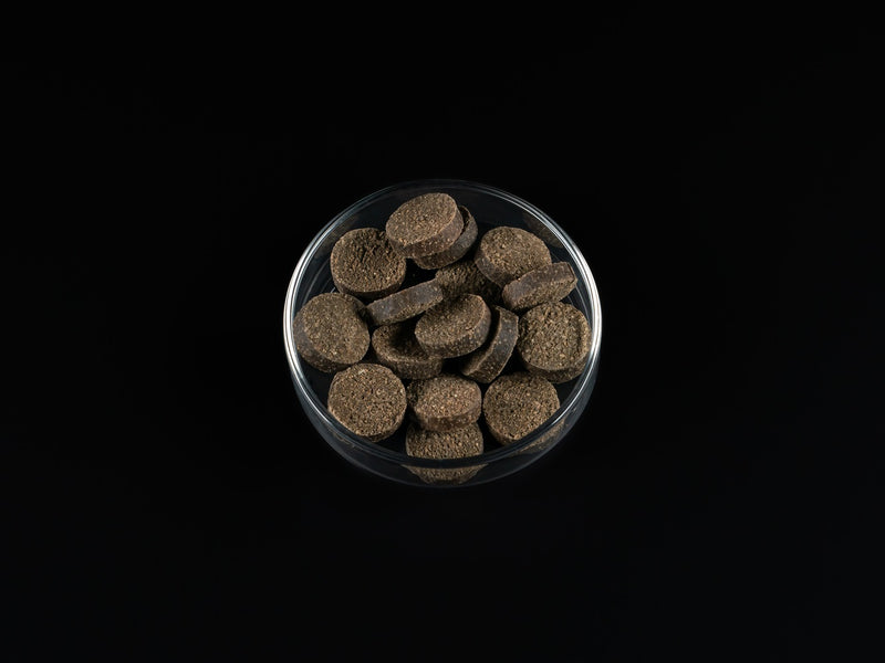 Wels Nuggets soft Carnivor