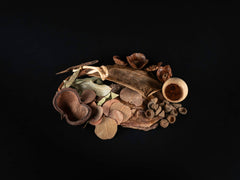 Biotope Set Amazon