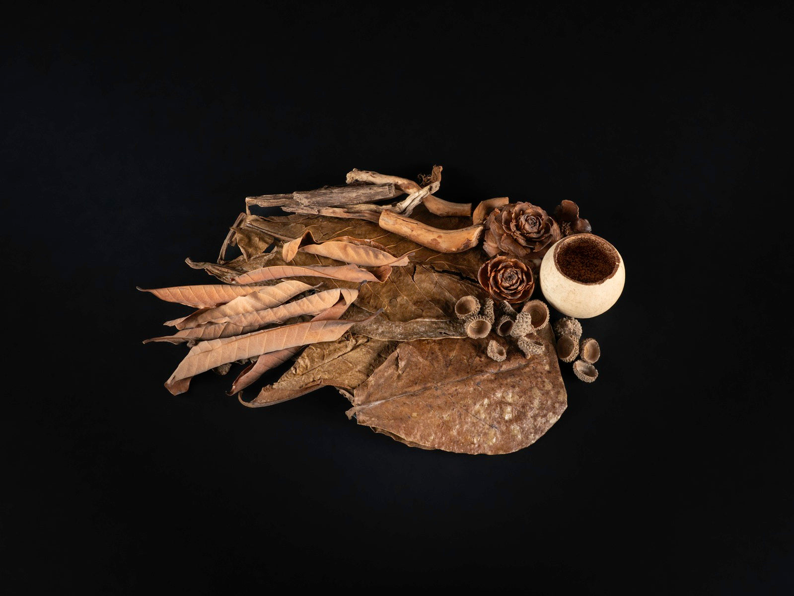 Biotope Set Asia
