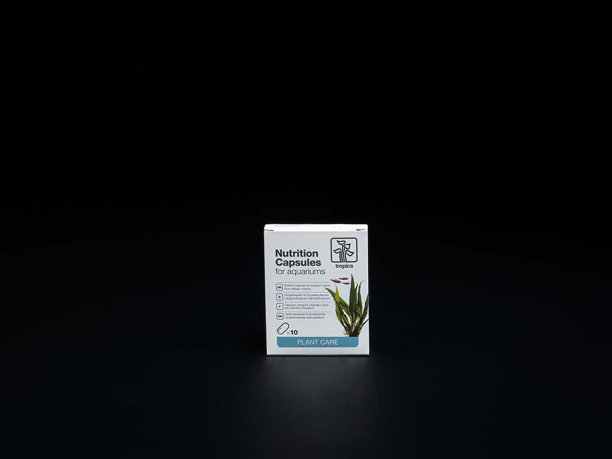 Tropica Düngekapseln