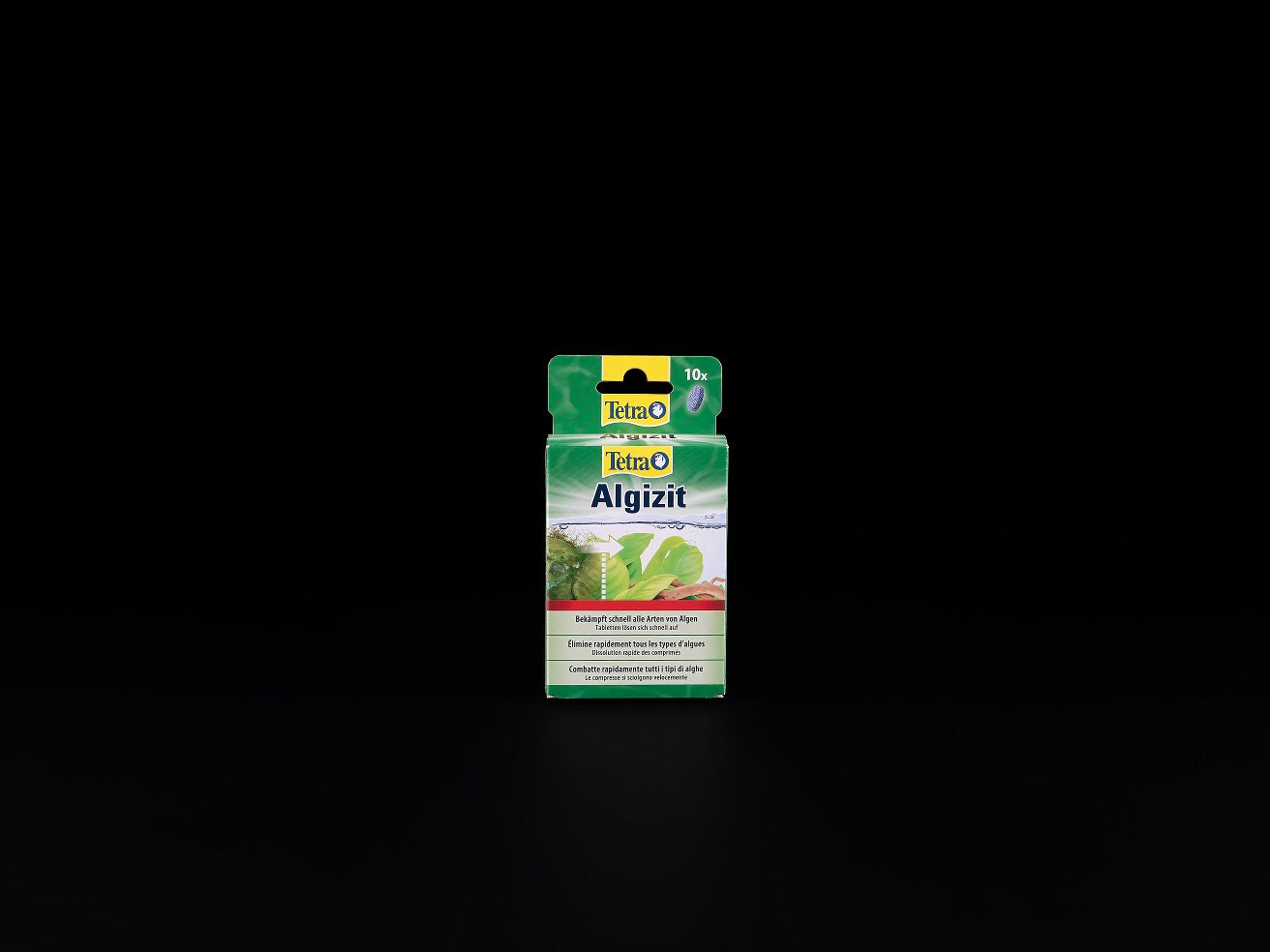 Algizit