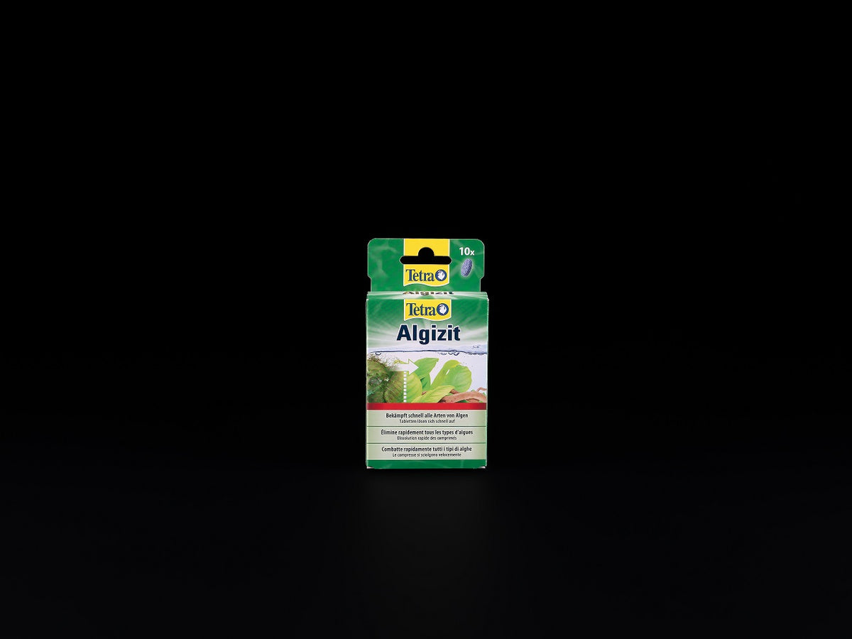 Algizit