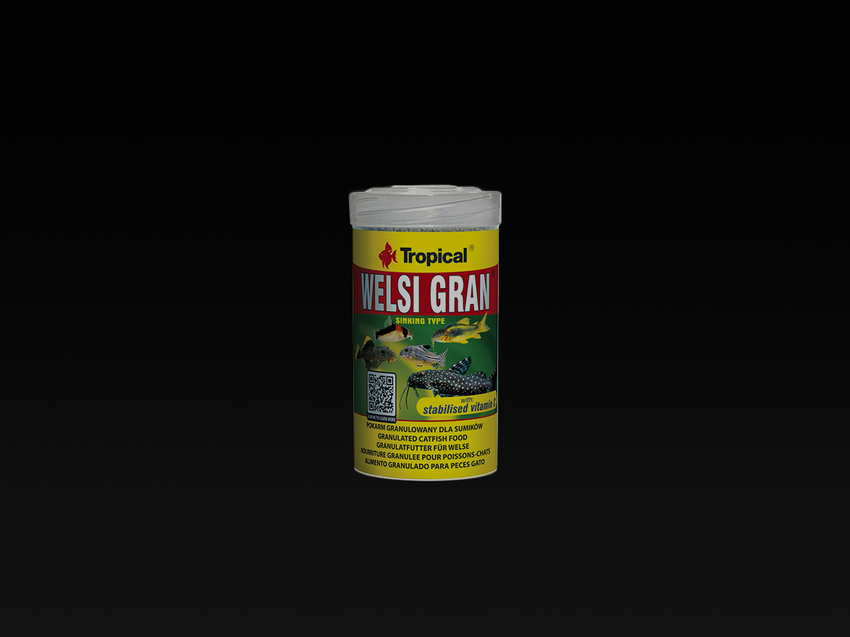 Welsi Gran