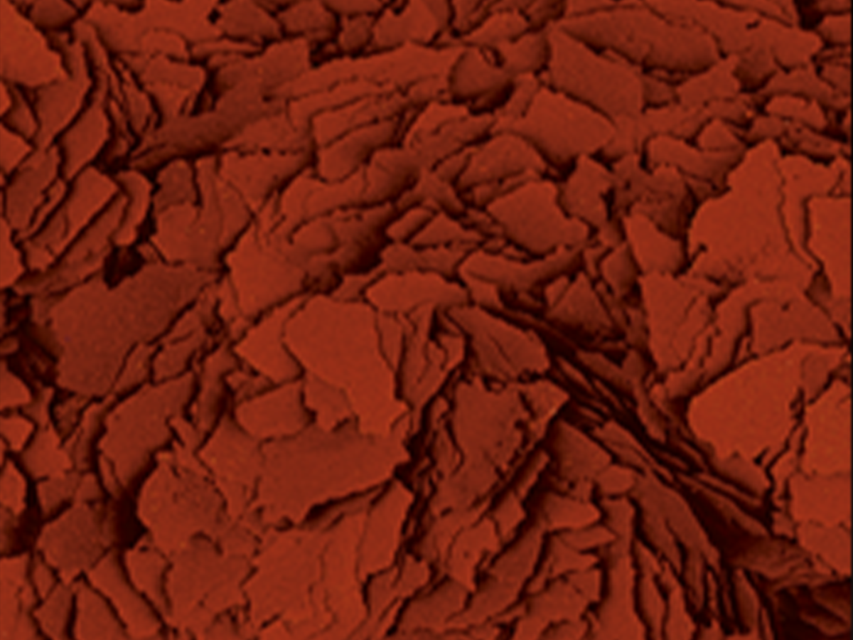 Astacolor
