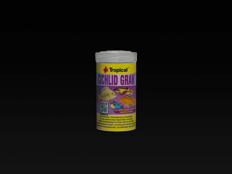 Cichlid Gran