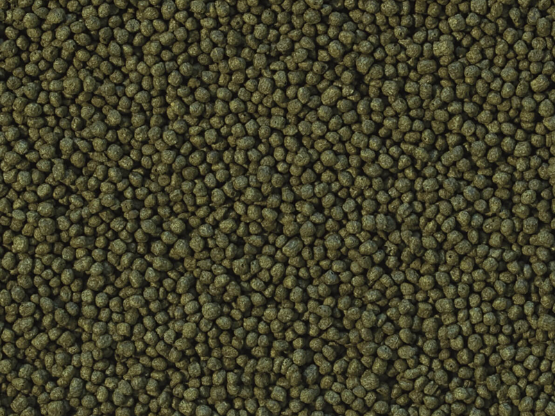 Cichlid Herbivore Small Pellet