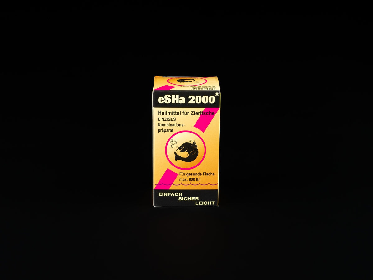 eSHa 2000