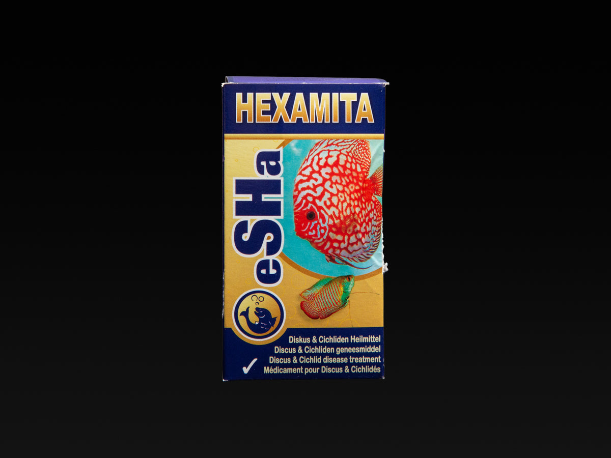 eSHa Hexamita