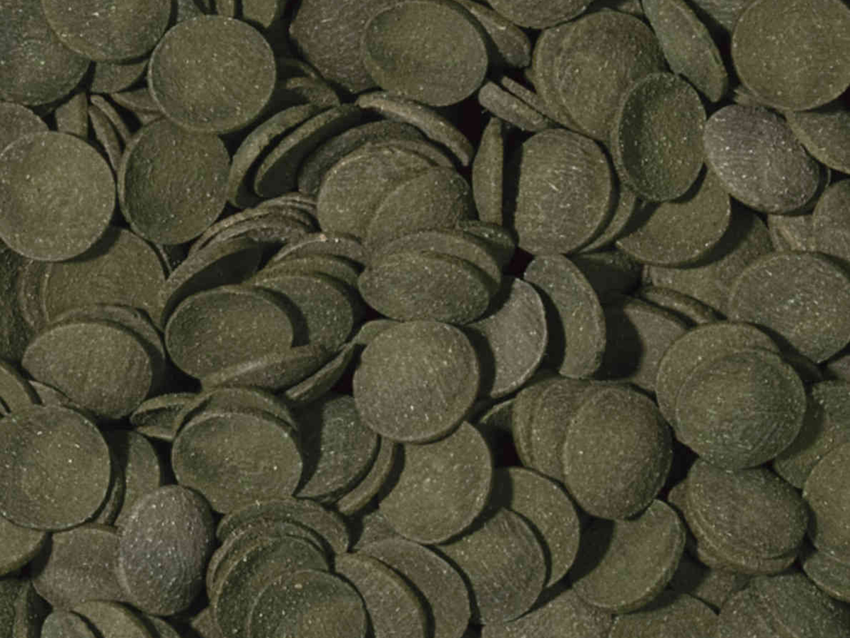 Green Algae Wafers