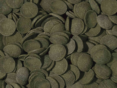 Green Algae Wafers