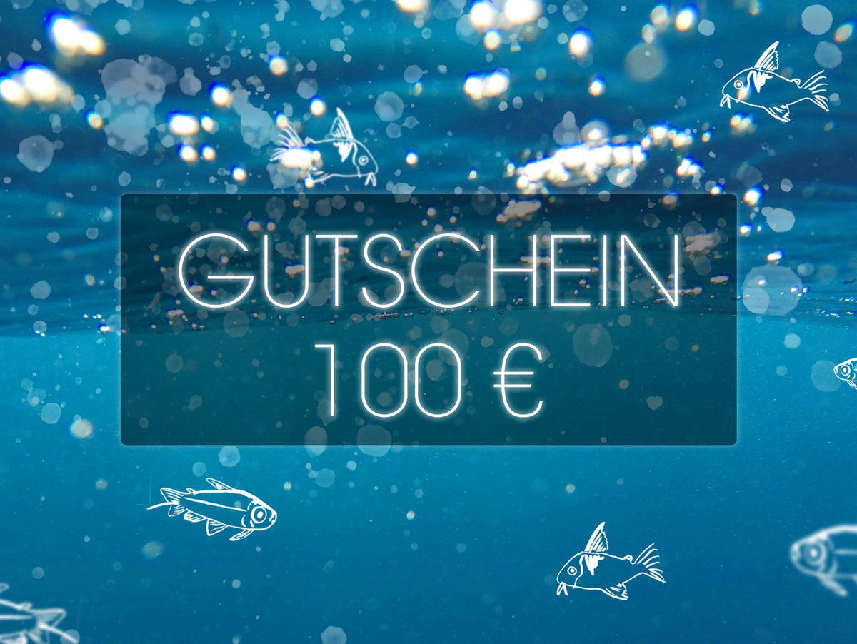 Geschenkgutschein 100€
