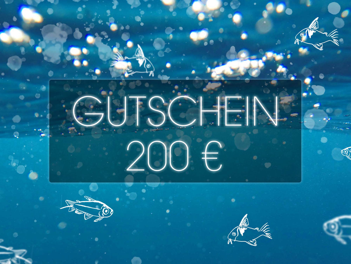 Geschenkgutschein 200€