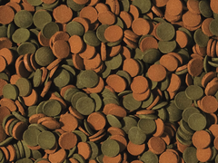 Mini Wafers Mix