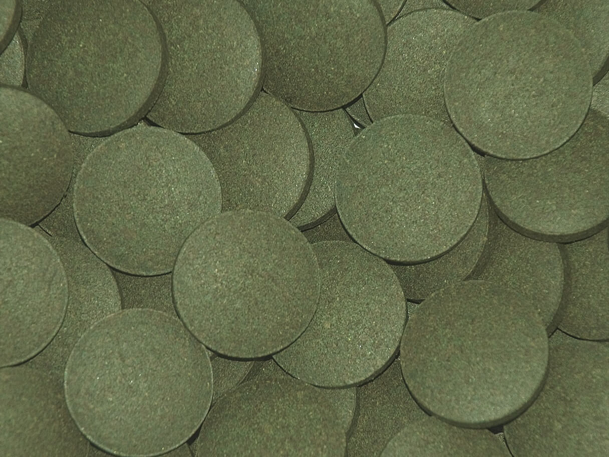 Plecos Tablets 25mm