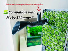 Lily Pipe & Skimmer Set