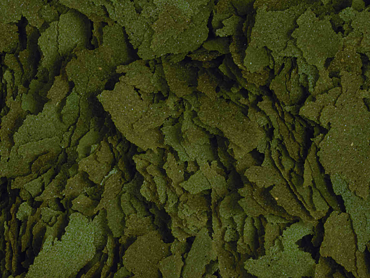 Spirulina Flakes