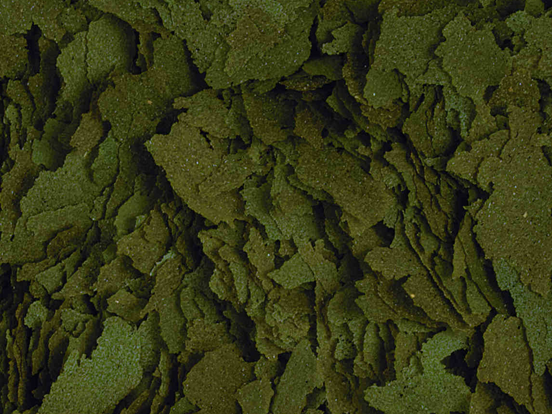 Spirulina Flakes