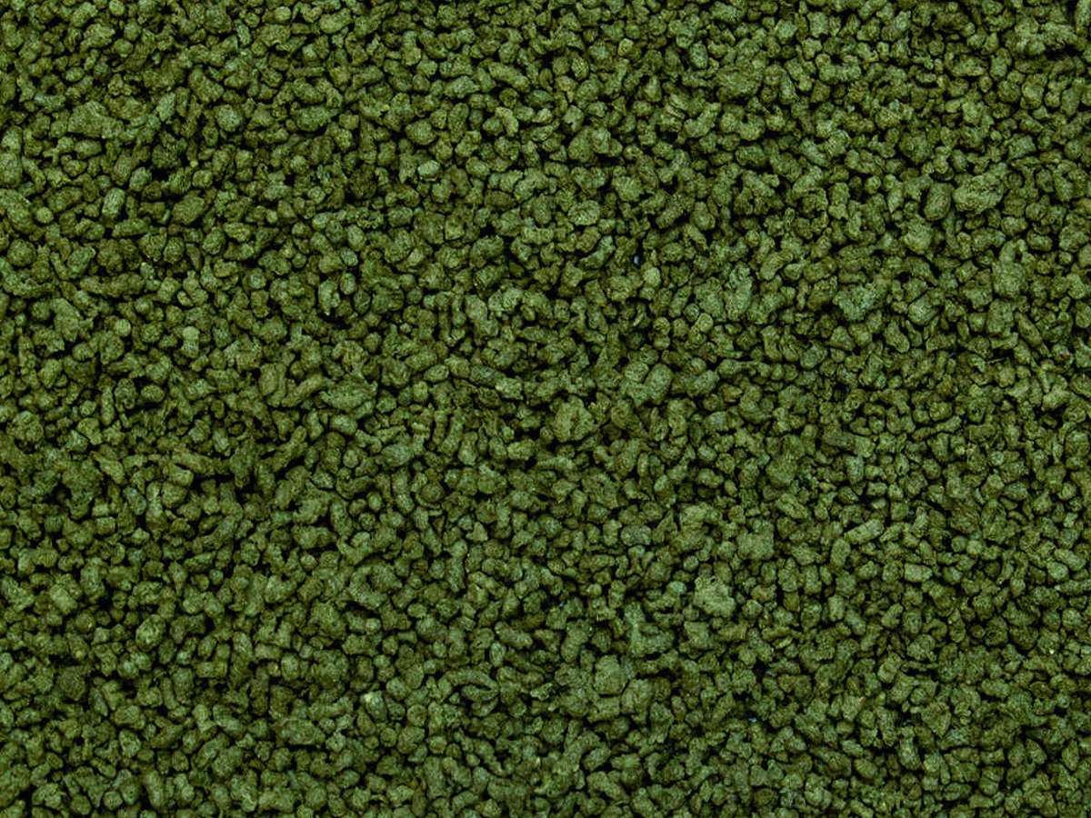 Spirulina Granulat