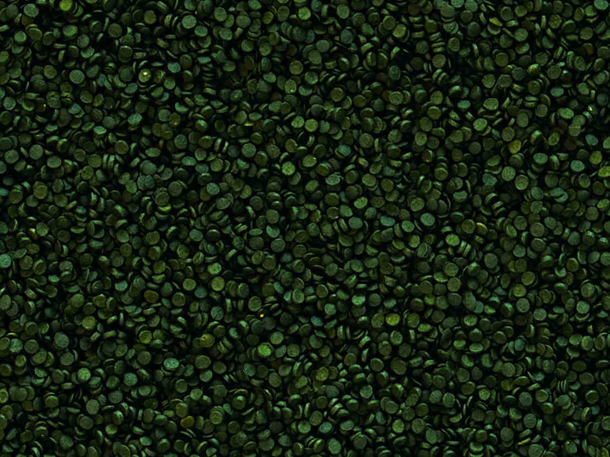 Super Spirulina Forte 36% Granulat