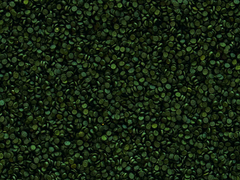 Super Spirulina Forte 36% Granulat