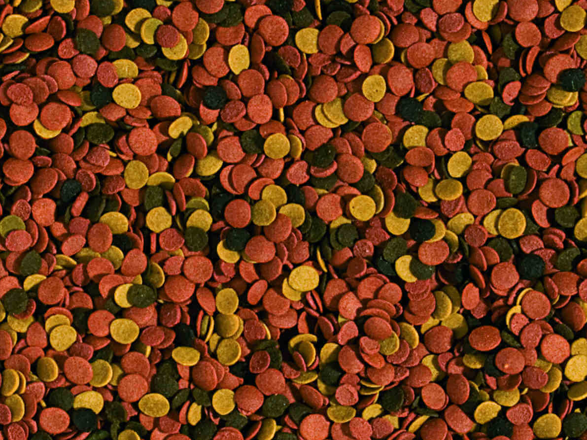 Supervit Chips